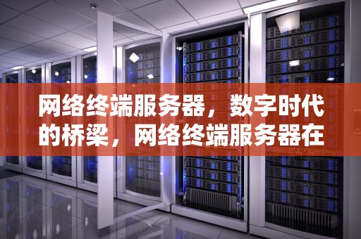 网络终端服务器，数字时代的桥梁，网络终端服务器在美国?