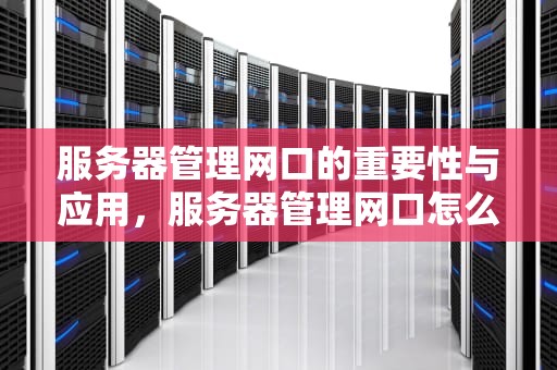 服务器管理网口的重要性与应用，服务器管理网口怎么用