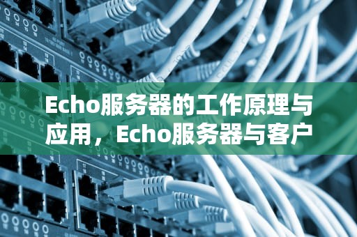 Echo服务器的工作原理与应用，Echo服务器与客户端的流程图