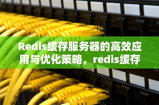 Redis缓存服务器的高效应用与优化策略，redis缓存服务器作用