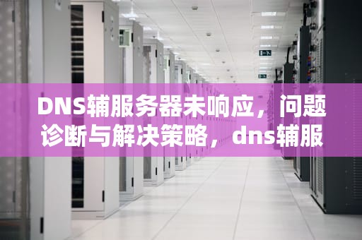 DNS辅服务器未响应，问题诊断与解决策略，dns辅服务器未响应是什么意思