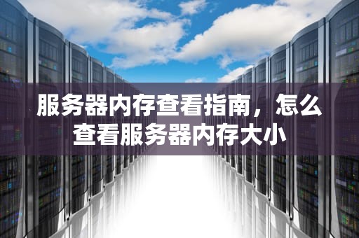 服务器内存查看指南，怎么查看服务器内存大小