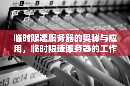临时限速服务器的奥秘与应用，临时限速服务器的工作原理