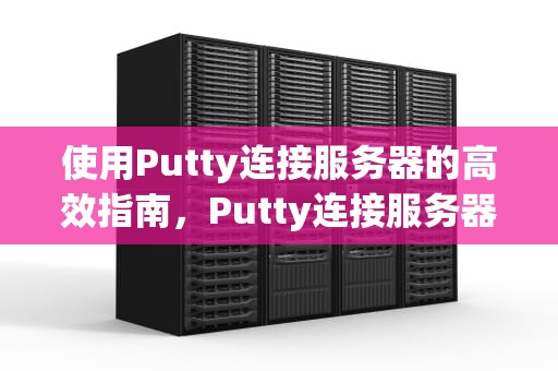使用Putty连接服务器的高效指南，Putty连接服务器 输入命令