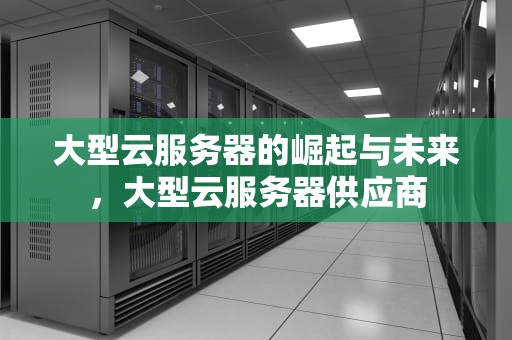 大型云服务器的崛起与未来，大型云服务器供应商
