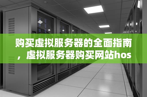 购买虚拟服务器的全面指南，虚拟服务器购买网站host