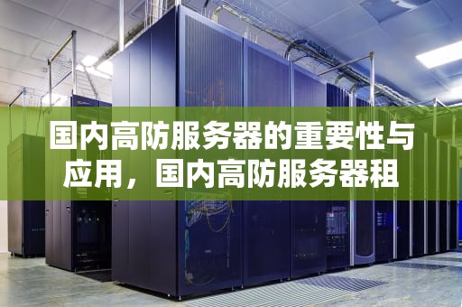 国内高防服务器的重要性与应用，国内高防服务器租