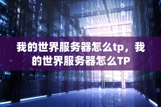 我的世界服务器怎么tp，我的世界服务器怎么TP