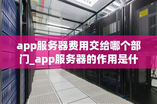 app服务器费用交给哪个部门_app服务器的作用是什么_App服务器费用的管理与分配