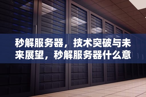 秒解服务器，技术突破与未来展望，秒解服务器什么意思