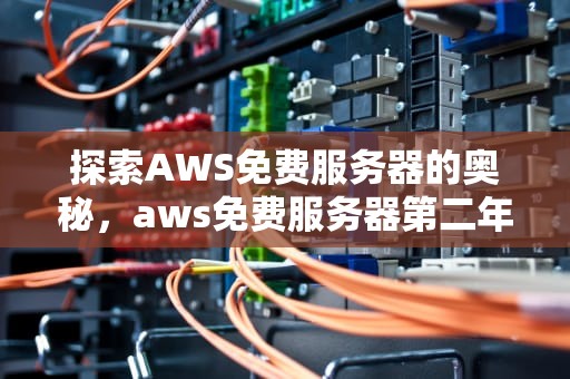 探索AWS免费服务器的奥秘，aws免费服务器第二年多少钱