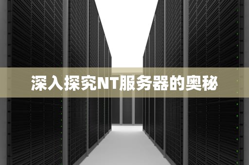深入探究NT服务器的奥秘