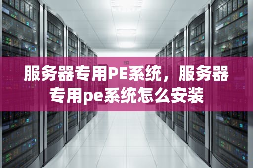 服务器专用PE系统，服务器专用pe系统怎么安装
