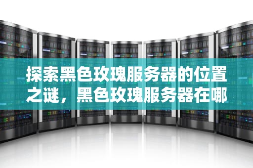 探索黑色玫瑰服务器的位置之谜，黑色玫瑰服务器在哪个省
