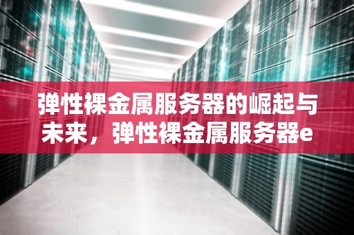 弹性裸金属服务器的崛起与未来，弹性裸金属服务器ebm