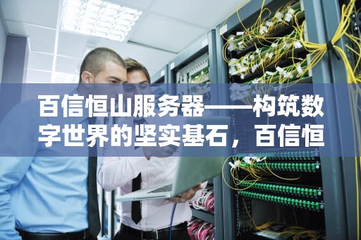 百信恒山服务器——构筑数字世界的坚实基石，百信恒山服务器bmc用户密码