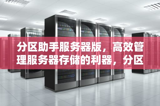 分区助手服务器版，高效管理服务器存储的利器，分区助手官网