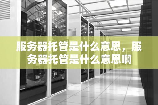 服务器托管是什么意思，服务器托管是什么意思啊