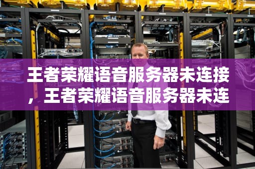 王者荣耀语音服务器未连接，王者荣耀语音服务器未连接怎么办