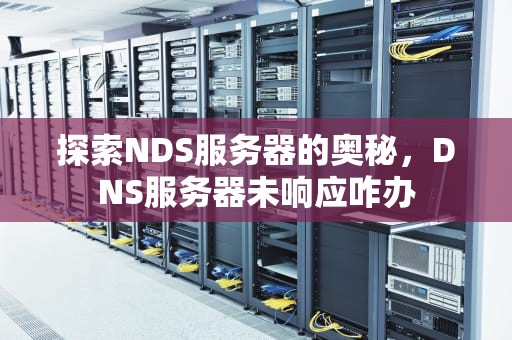 探索NDS服务器的奥秘，DNS服务器未响应咋办