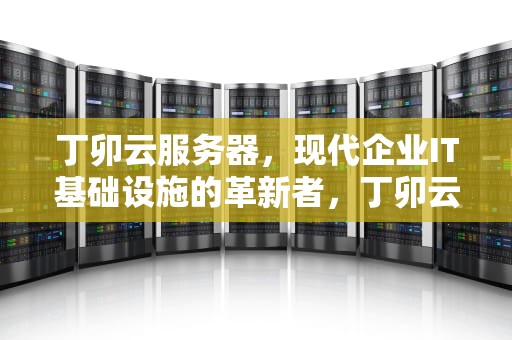丁卯云服务器，现代企业IT基础设施的革新者，丁卯云服务器怎么使用