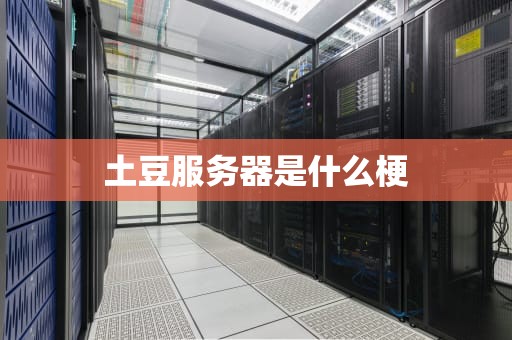 土豆服务器是什么梗