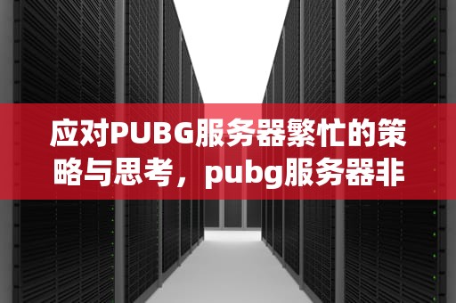 应对PUBG服务器繁忙的策略与思考，pubg服务器非常繁忙请稍后再试怎么回事