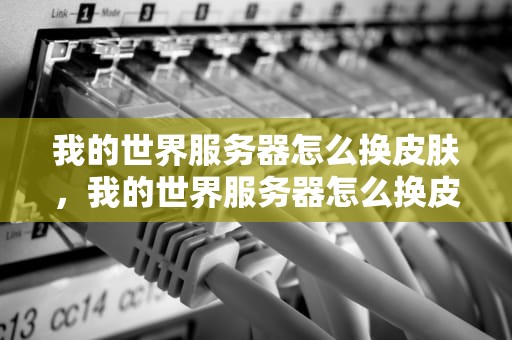 我的世界服务器怎么换皮肤，我的世界服务器怎么换皮肤手机版