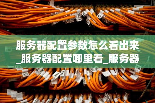 服务器配置参数怎么看出来_服务器配置哪里看_服务器配置参数的识别与理解