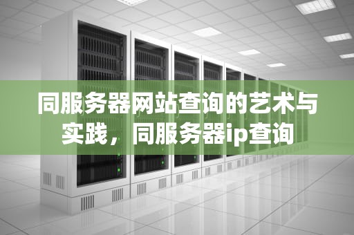 同服务器网站查询的艺术与实践，同服务器ip查询