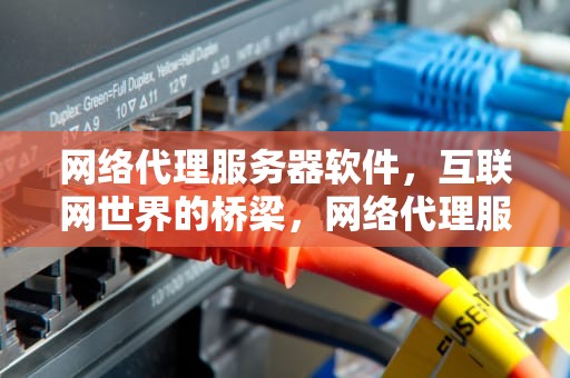 网络代理服务器软件，互联网世界的桥梁，网络代理服务器软件有哪些