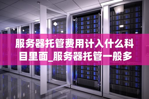 服务器托管费用计入什么科目里面_服务器托管一般多少钱一个月_服务器托管费用的会计处理