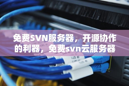 免费SVN服务器，开源协作的利器，免费svn云服务器