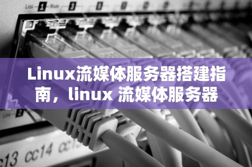Linux流媒体服务器搭建指南，linux 流媒体服务器