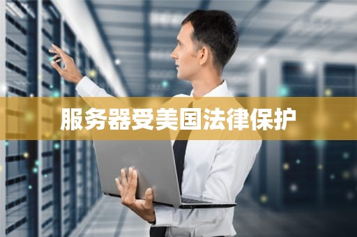 服务器受美国法律保护