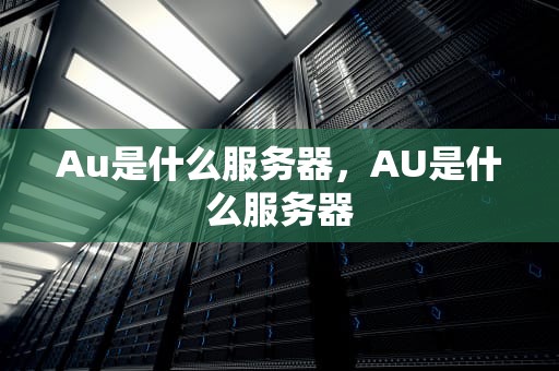 Au是什么服务器，AU是什么服务器