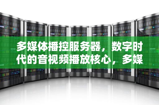多媒体播控服务器，数字时代的音视频播放核心，多媒体播控服务器厂家有哪些