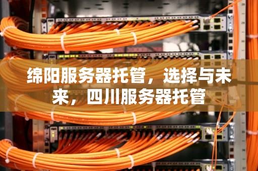 绵阳服务器托管，选择与未来，四川服务器托管