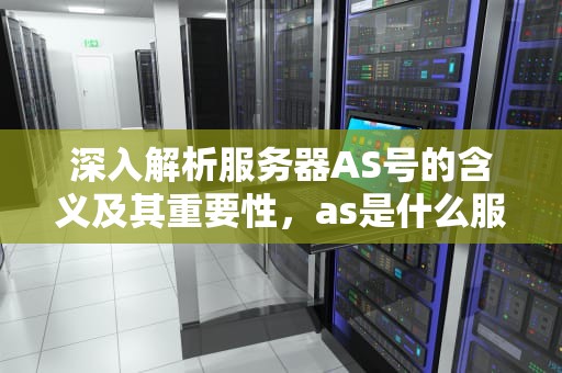 深入解析服务器AS号的含义及其重要性，as是什么服务器