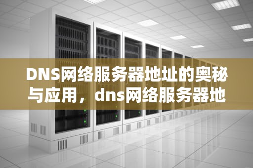 DNS网络服务器地址的奥秘与应用，dns网络服务器地址是多少