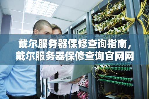 戴尔服务器保修查询指南，戴尔服务器保修查询官网网址
