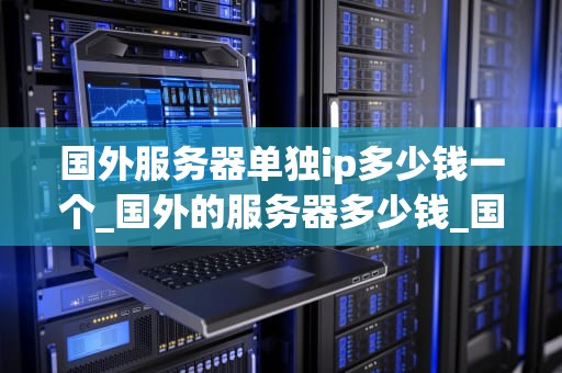 国外服务器单独ip多少钱一个_国外的服务器多少钱_国外服务器单独IP的价格及其影响因素