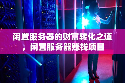 闲置服务器的财富转化之道，闲置服务器赚钱项目