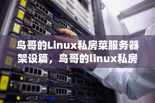 鸟哥的Linux私房菜服务器架设篇，鸟哥的linux私房菜服务器架设篇 pdf