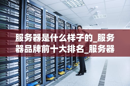 服务器是什么样子的_服务器品牌前十大排名_服务器的形态与功能