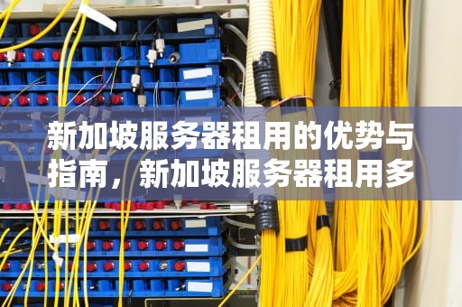 新加坡服务器租用的优势与指南，新加坡服务器租用多少钱