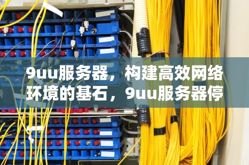 9uu服务器，构建高效网络环境的基石，9uu服务器停止响应