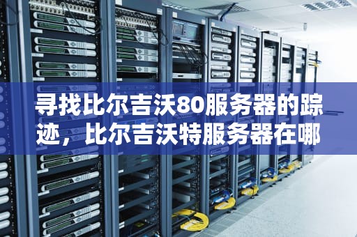 寻找比尔吉沃80服务器的踪迹，比尔吉沃特服务器在哪个城市