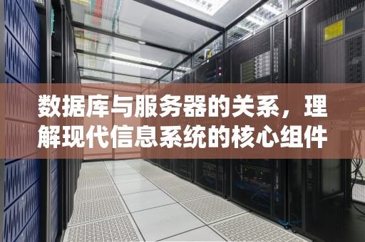 数据库与服务器的关系，理解现代信息系统的核心组件，数据库和服务器的关系图