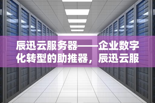 辰迅云服务器——企业数字化转型的助推器，辰迅云服务器怎么样